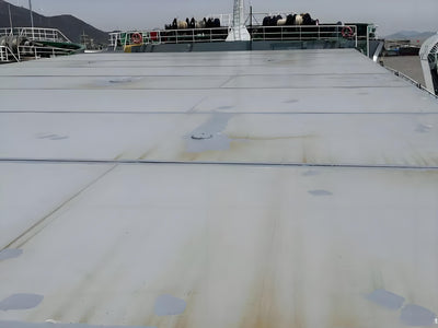 2019 Built 14000 DWT Bulk Carrier For Sale