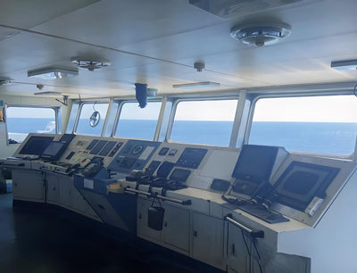 2012 Built 8800 DWT 426 TEU Container Ship For Sale