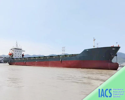 2009 Built 7300 DWT 346 TEU Container Ship For Sale