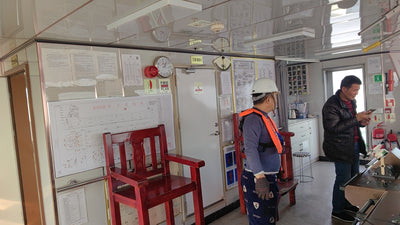 2022 Built 10000 DWT 392 TEU Container Ship For Sale