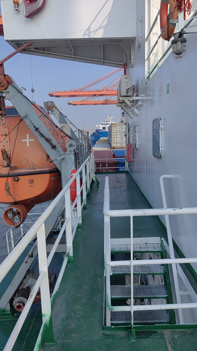 2022 Built 10000 DWT 392 TEU Container Ship For Sale