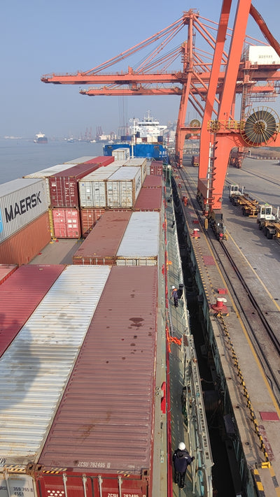 2022 Built 10000 DWT 392 TEU Container Ship For Sale