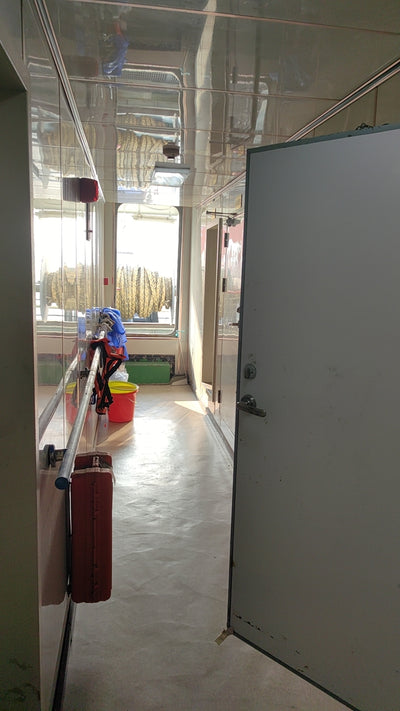 2022 Built 10000 DWT 392 TEU Container Ship For Sale