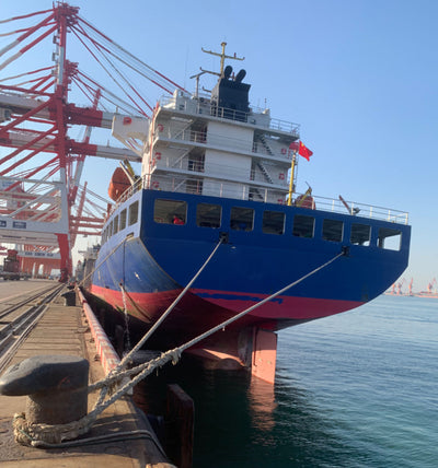 2023 Built 15000 DWT 812 TEU Container Ship For Sale