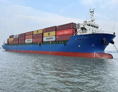 2018 Built 10000 DWT 816 TEU Container Ship For Sale