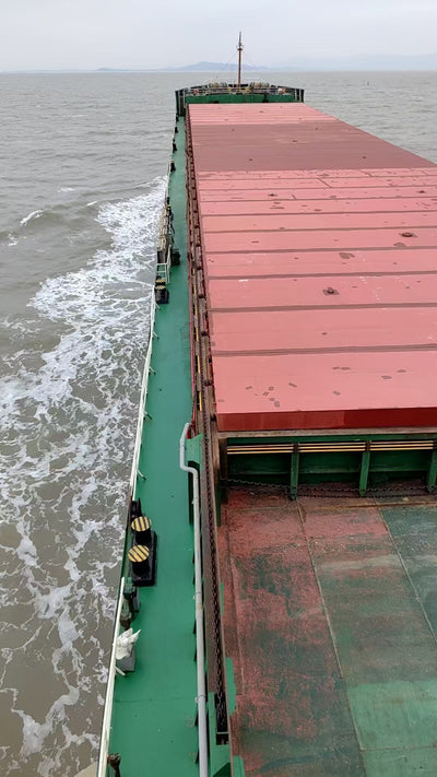 2021 Built 17000 DWT Bulk Carrier For Sale