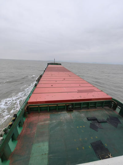 2021 Built 17000 DWT Bulk Carrier For Sale