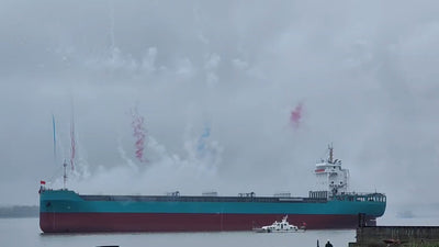 2024 Built 10000 DWT 660 TEU Container Ship For Sale