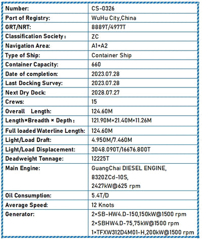 2024 Built 10000 DWT 660 TEU Container Ship For Sale