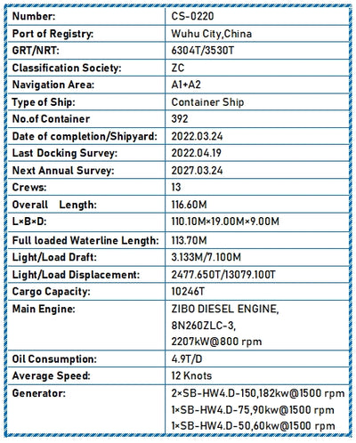 2022 Built 10000 DWT 392 TEU Container Ship For Sale