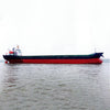 2020 Built 11000 DWT Bulk Carrier For Sale