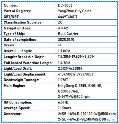 2020 Built 11000 DWT Bulk Carrier For Sale