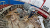 2024 Built 12000 DWT 1075 TEU Container Ship For Sale