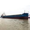 2023 Built 12000 DWT Bulk Carrier For Sale