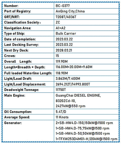 2023 Built 12000 DWT Bulk Carrier For Sale