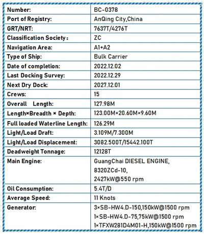 2022 Built 12000 DWT Bulk Carrier For Sale