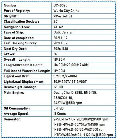 2021 Built 12000 DWT Bulk Carrier For Sale