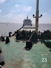 2010 Built 12000 DWT Bulk Carrier For Sale