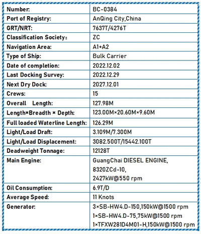 2022 Built 12000 DWT Bulk Carrier For Sale