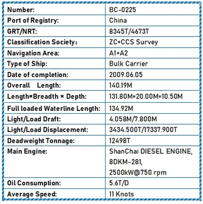 2009 Built 12500 DWT Bulk Carrier For Sale