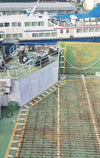 1998 Built RoRo Pax For Sale