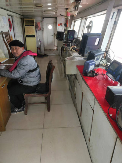 2012 Built 2600 DWT 271 TEU Container Ship For Sale