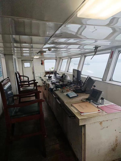 2010 Built 4400 DWT 225 TEU Container Ship For Sale