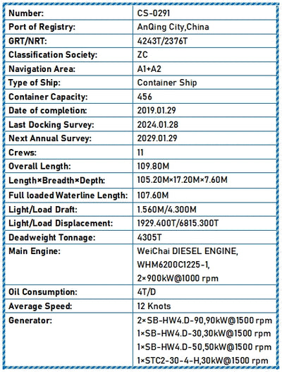 2019 Built 4300 DWT 456 TEU Container Ship For Sale