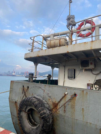 2013 Built 3800 DWT 290 TEU Container Ship For Sale