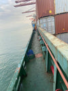 2013 Built 3800 DWT 290 TEU Container Ship For Sale