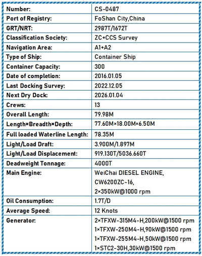 2016 Built 4000 DWT 300 TEU Container Ship For Sale