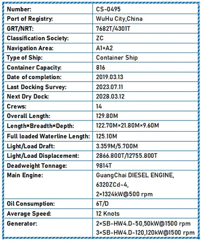 2019 Built 9800 DWT 816 TEU Container Ship For Sale