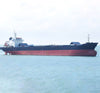 2011 Built 27000 DWT Bulk Carrier For Sale