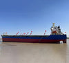 2022 Built 12000 DWT Bulk Carrie For Sale