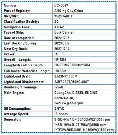 2022 Built 12000 DWT Bulk Carrie For Sale