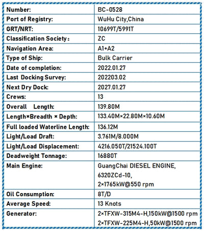 2022 Built 17000 DWT Bulk Carrier For Sale