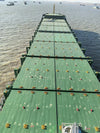 2024 Built 15000 DWT 1006 TEU Container Ship For Sale
