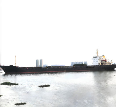 2008 Built 8700 DWT Bulk Carrier For Sale