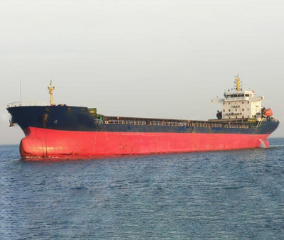 2019 Built 14000 DWT Bulk Carrier For Sale