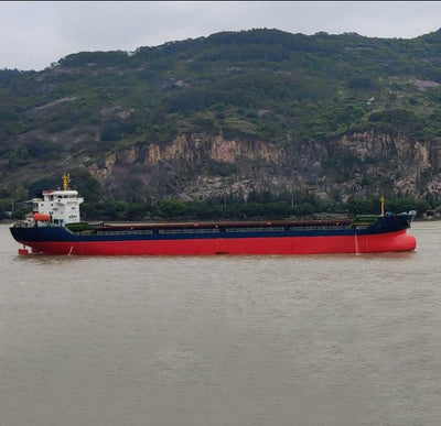 2019 Built 14000 DWT Bulk Carrier For Sale