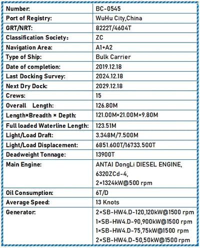 2019 Built 14000 DWT Bulk Carrier For Sale