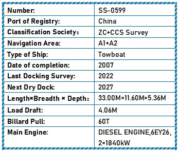 2007 Built Towboat For Sale