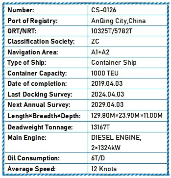 2019 Built 13100 DWT 1000 TEU Container Ship For Sale