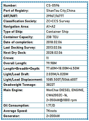 2018 Built 3800 DWT 238 TEU Container Ship For Sale