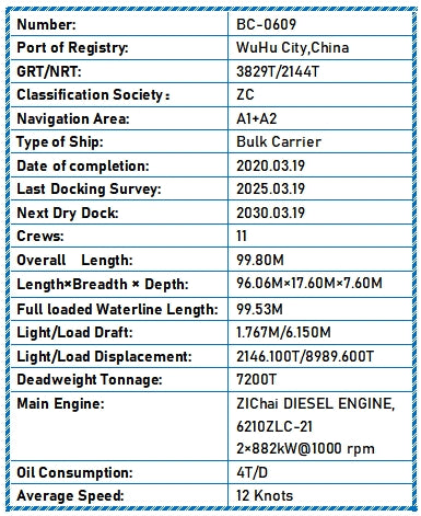 2020 Built 7200 DWT Bulk Carrier For Sale