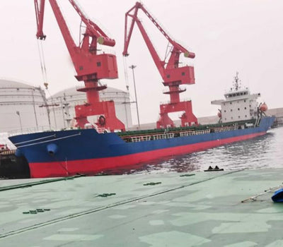 2020 Built 12500 DWT Bulk Carrier For Sale