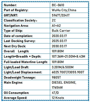 2020 Built 9800 DWT Bulk Carrier For Sale