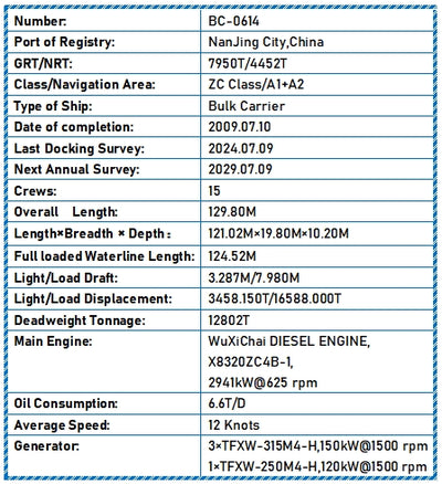 2009 Built 13000 DWT Bulk Carrier For Sale
