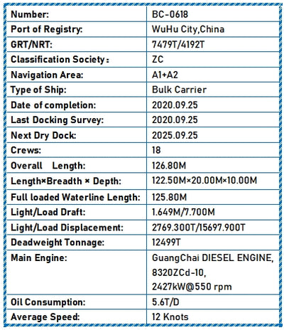 2020 Built 12500 DWT Bulk Carrier For Sale