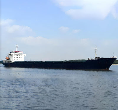 2008 Built 16000 DWT Bulk Carrier For Sale